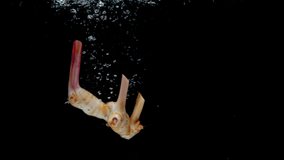 Galangal Drop in Water Slow Motion - Powered by Shutterstock - Get 15% off with code: PIKWIZARD15