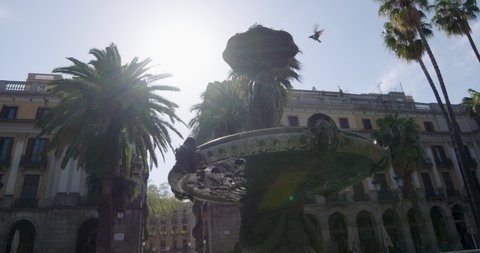 Placa Real Barcelona - one of the busiest plazas in Barcelona empty after state of alarm COVID19. Pigeons in the fountain