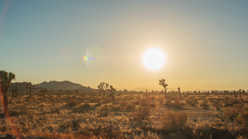Time Lapse in motion or Hyperlapse of Sunset at Joshua Tree National Park, Joshua Trees Silhouettes and desert with Sun Setting down, California
