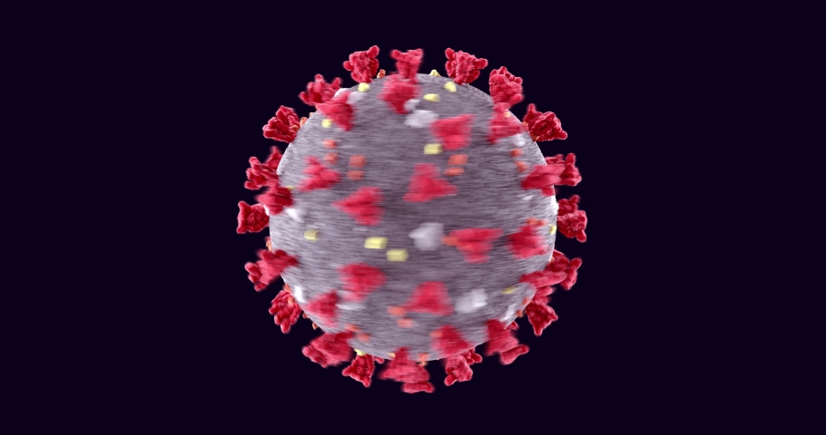 Realistic 3D animation of COVID-19 Virus Structure graphic. Corona Virus SARS-CoV-2, 2019 nCoV virus Particles.  Text description scheme on dark background. Alpha channel matte  included. Royalty-Free Stock Footage #1050205135