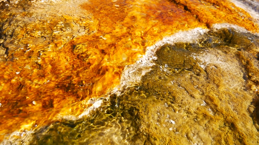 Water flowing over the brightly colored orange and yellow bacteria that lives in the hot waters of many of Yellowstone National Park