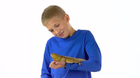 Bearded agama sitting on the hand of boy and he stroking her at white background. Slow motion.