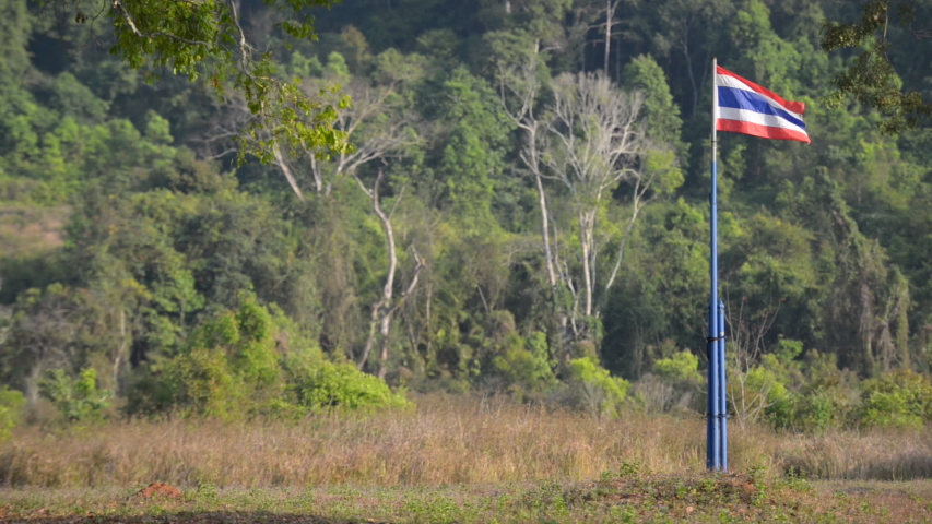
Thai flag pole and rainforest