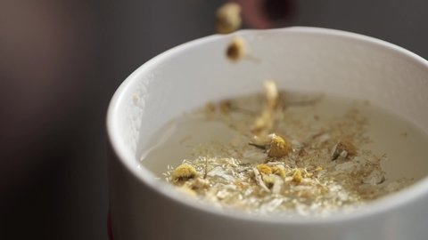 Pouring Chamomile Flowers into Teacup, Warm Tea, Closeup Slow Motion Full HD