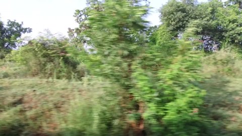 Footage from running train rural aria with farm, mountain, hills and trees between Tirupati Andhra Pradesh and Katpadi Junction Tamil Nadu, India
