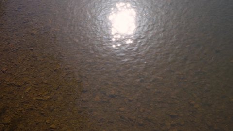 The sun is reflected in a transparent river. Transparent river with a rocky bottom with reflected rays of the sun