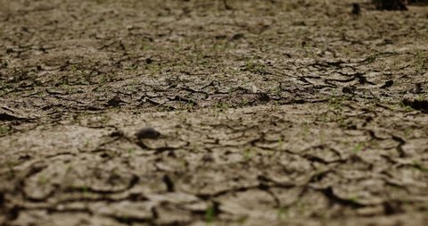Dolly shot of drought cracked soil caused by climate change, Central Europe