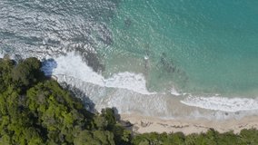 Drone aerial view of tropical beach coastline in Costa Rica. Clear lue water white sand and green tropical rainforest with palm trees. Aerial view video 