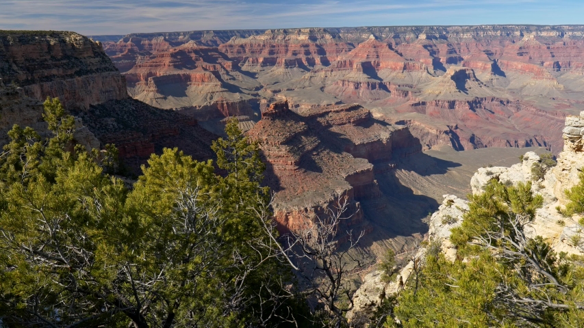 Lifting up above evergreen trees in Grand Canyon National Park, Arizona, USA. UHD