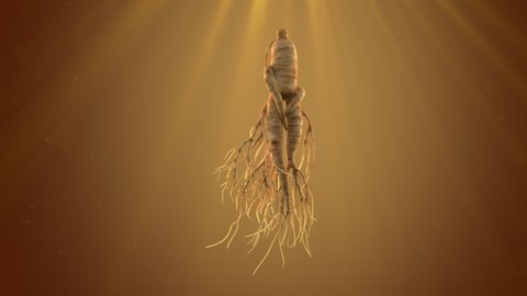 Ginseng growth premium in water rotated.