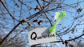 Wind sways Quarantine word on white card hanging with green flower landry pin on sunny spring tree and blue sky background