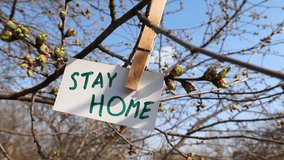 Stay home words on white card hanging with green flower landry pin on sunny spring tree and blue sky background. Wind sways reminder. Risk prevention safety stay info