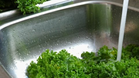 Woman washing in water in sink green pok choy and kale cabbage leaves in kitchen, organic healthy food