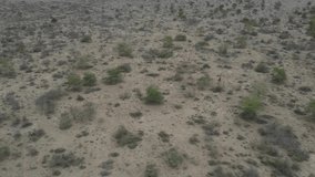 Drone flying over the Kenyan plains and desert. There is a giraffe running on the ground away from the drone. Drone stock footage by DroneRune