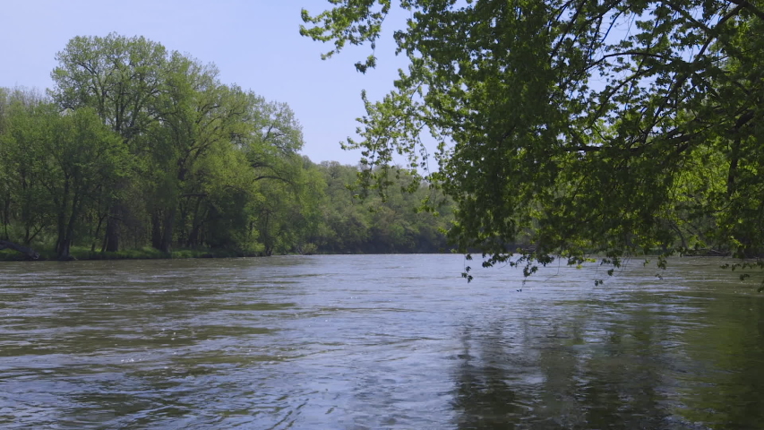 A river in Iowa surrounded by trees, one is hanging over the river. Slow Motion. MEDIUM SHOT