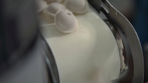 Automatic Machine Production Process at a Dumpling Factory. Fresh Raw Pelmeni Fall On the Conveyor Belt. Industrial Machinery Operating at a Food Factory.