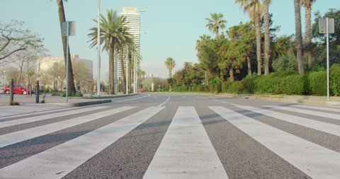 View of empty street crosswalk in city. Coronavirus quarantine