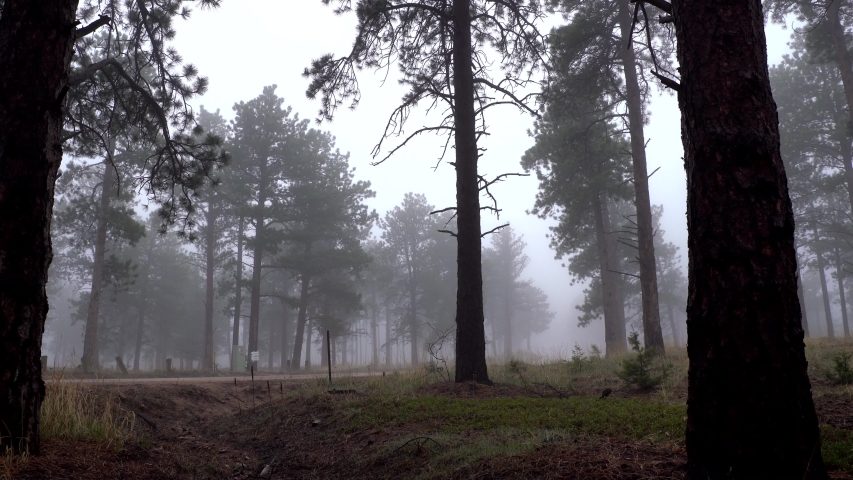 Truck driving in a foggy mountain road