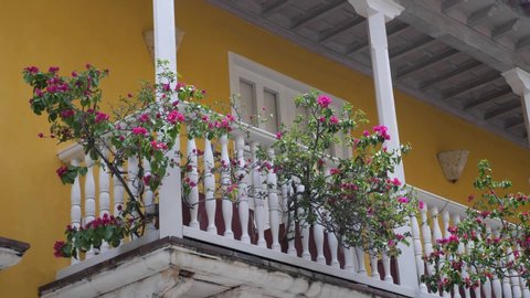Flowers on Balcony at Old City Cartagena on Colorful Building