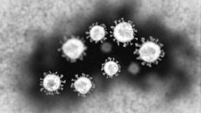 Realistic animation of a group of coronavirus particles as seen under a transmission electron microscope. Computer generated black and white animation of a micrograph.
