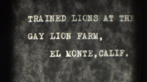 EL MONTE CALIFORNIA-1937: Lions In California In The City Of Electricity Monte Playing To The Pubic