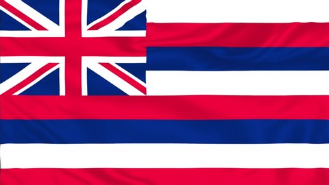 Hawaii flag is waving 3D animation. Hawaii  state flag waving in the wind.  flag seamless loop animation. 4K