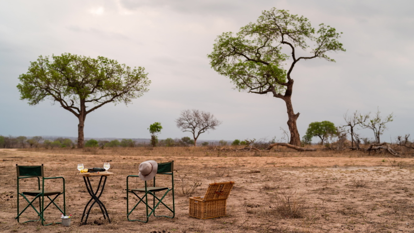 Static timelapse in African bushveld game reserve of romantic sundowner drinks and picnic basket, snacks, in late afternoon with moody clouds, Marula trees in scenic landscape.