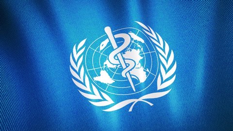 Who World Health Organization Flag Loop Stock Footage Video (100% ...