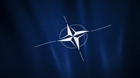 NATO North Atlantic Treaty Organization  flag loop waving closeup