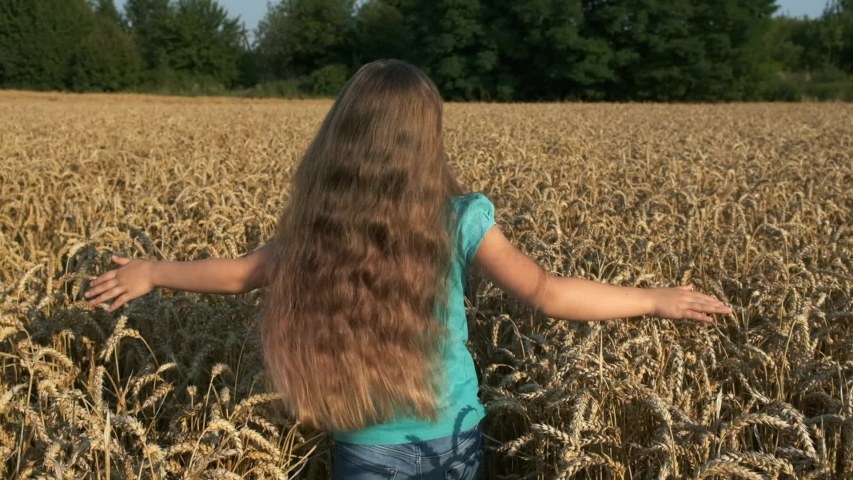 
Little girl running cross the wheat field at sunset. Slow motion 120 fps. The concept of a happy family. Childhood dreams
