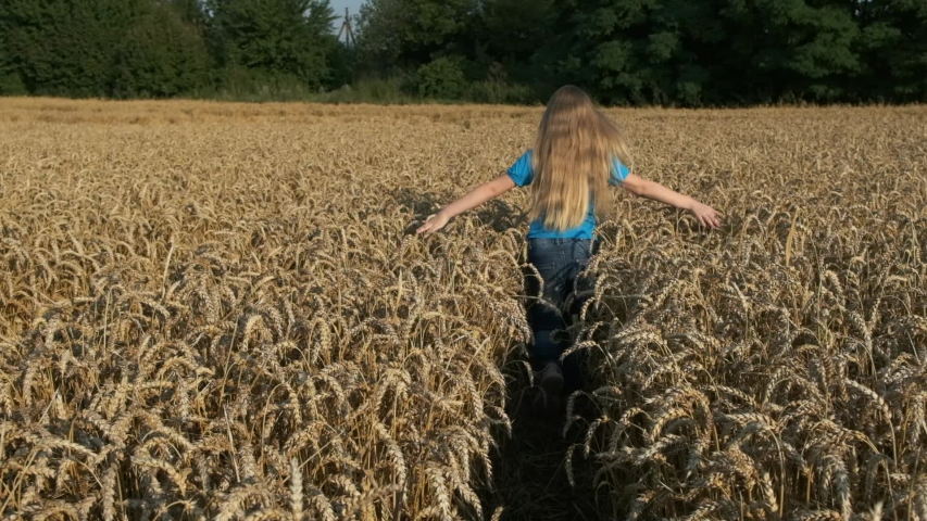 
Little girl running cross the wheat field at sunset. Slow motion 120 fps. The concept of a happy family. Childhood dreams
