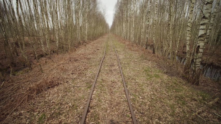 Abandoned narrow gauge railway in the forest, autumn day