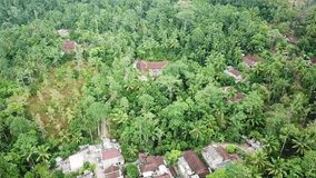 a village in the middle of a beautiful green forest, far from the noise of the city, the video was taken using drones from the ground up