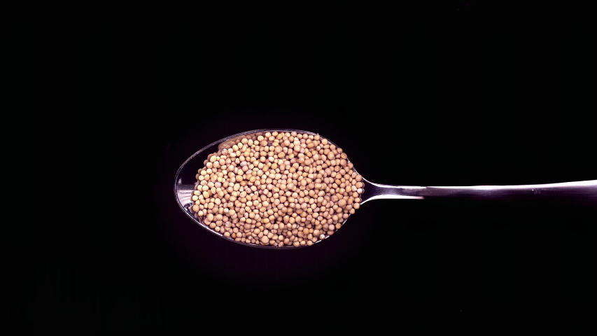 A Full Spoon  cilantro seeds explode  on black background closeup in super slow motion