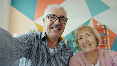 Portrait of lovely old couple enjoying online video call showing thumbs-up talking laughing looking at camera. Communication and technology concept.