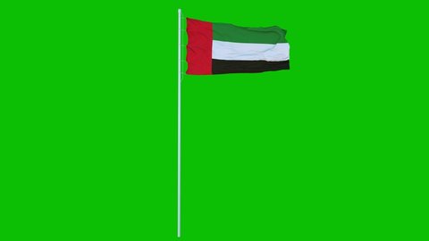 United Arab Emirates Flag Waving on wind on green screen or chroma key background. 4K animation