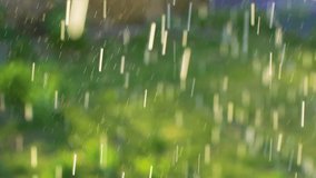 Rain falling on green grass background in garden. Close up of water drops fall in slow motion.