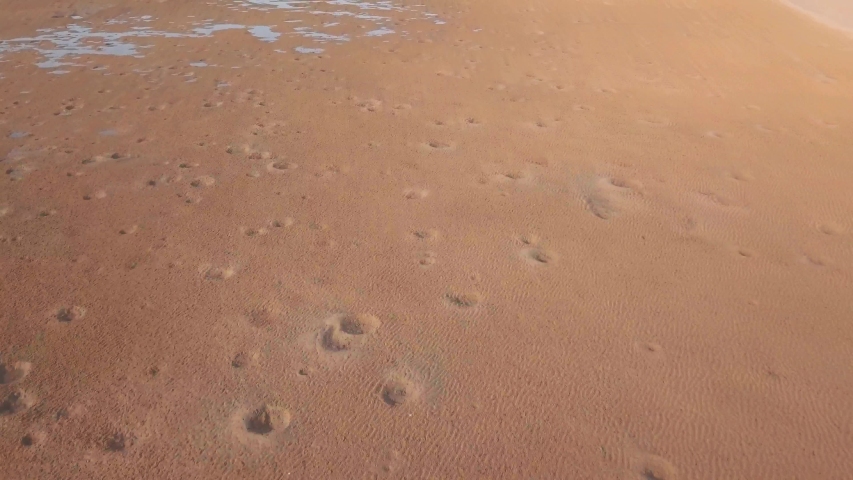 rising pan up from beach to reveal sail boats anchored by mangroves
