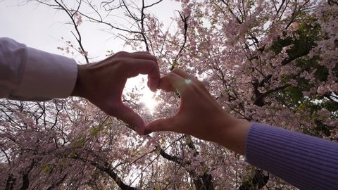 Romantic couple hold hands in heart shape against sun light flicking and shining through cherry blossom tree crown. Lovely Hanami spring time at Tokyo in April. Slow motion shot