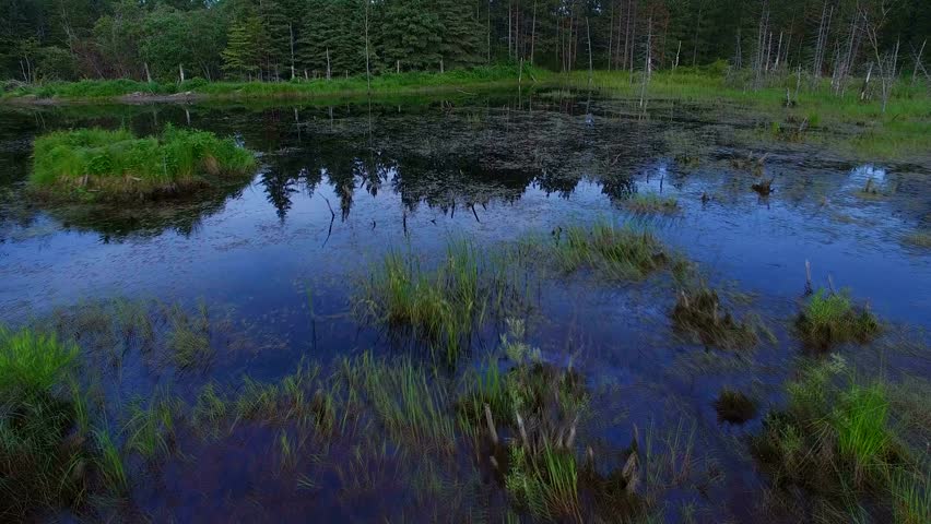 Aerial view of swamp pond marsh hd
 4k 
