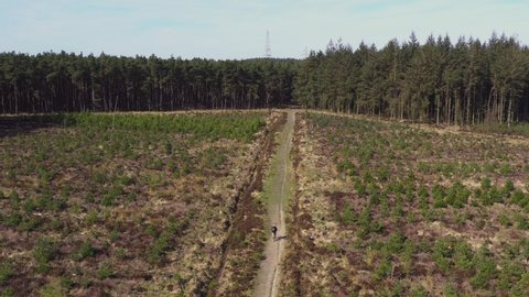 Drone footage of a person mountain biking along an empty country track heading towards a forest on a sunny morning in North Yorkshire England completely isolated