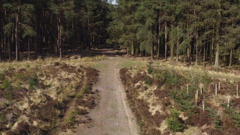 Drone footage of a person mountain biking along an empty country track heading towards a forest on a sunny morning in North Yorkshire England completely isolated