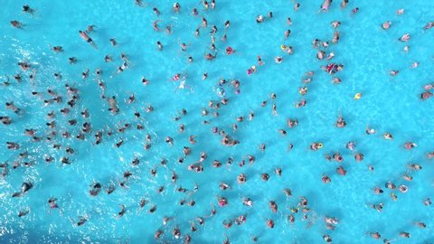 crowd of people swim in blue water pool top view, aerial overhead shot. a lot of people swimming in a big pool with waves during summer sunny day. drone 4K footage. slow motion 