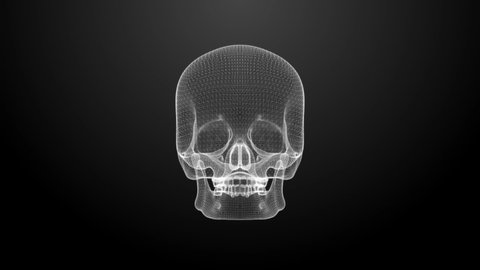 3D hologram of white human skull on black background. Digital animation.