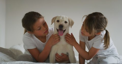 Authentic shot of two cute little girls are cuddling their pedigree puppy of Labrador Retriever dog while having fun together on a bed.Concept: love for animals,friendship, authenticity, antiparasitic