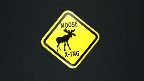 MOOSE, WILD ANIMALS warning sign word text. Stop motion animation.