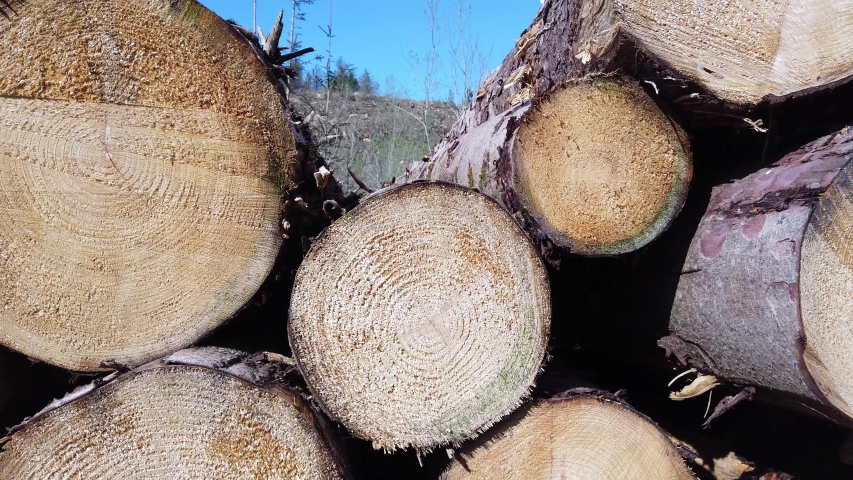 Timber stacks at Bonny Glen in County Donegal - Ireland.