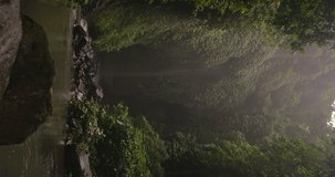 Vertical video of amazing Bali waterfall in jungle. Waterfall hidden in tropical rainforest jungle. Leaves moving by wind. Enjoying wild nature and life concept. Falling water hitting water surface.