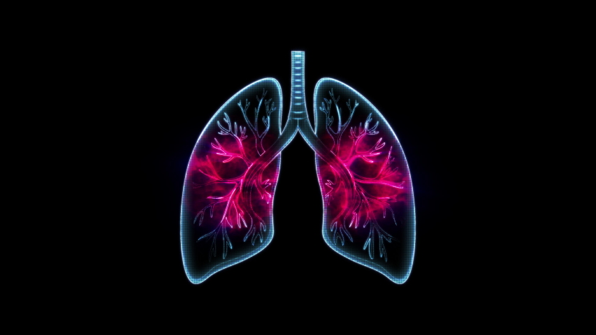 Abstract Digital Grid Human Lungs Stock Footage Video (100% Royalty ...