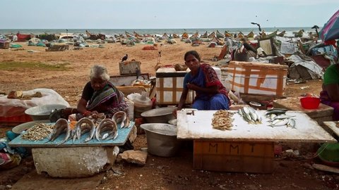 Chennai, India - Circa December 2019. Local fish market on the road near the beach in Chennai, India.
